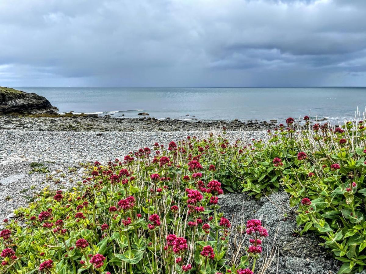 Вілла Mynydd A Mor Trefor  Екстер'єр фото